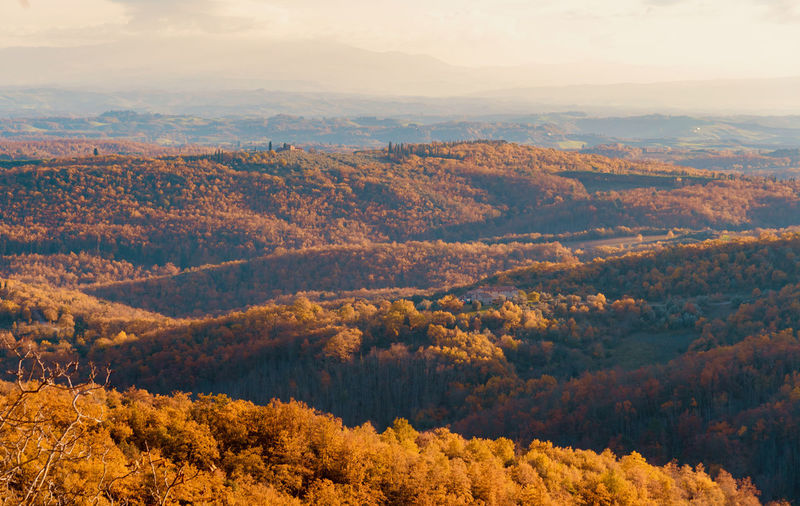 High angle view of trees and mountains during autumn