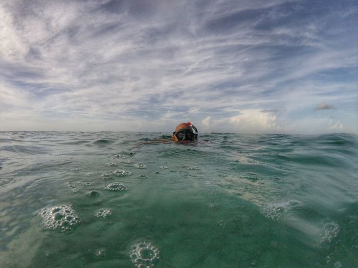 Surface level view of man snorkeling in sea