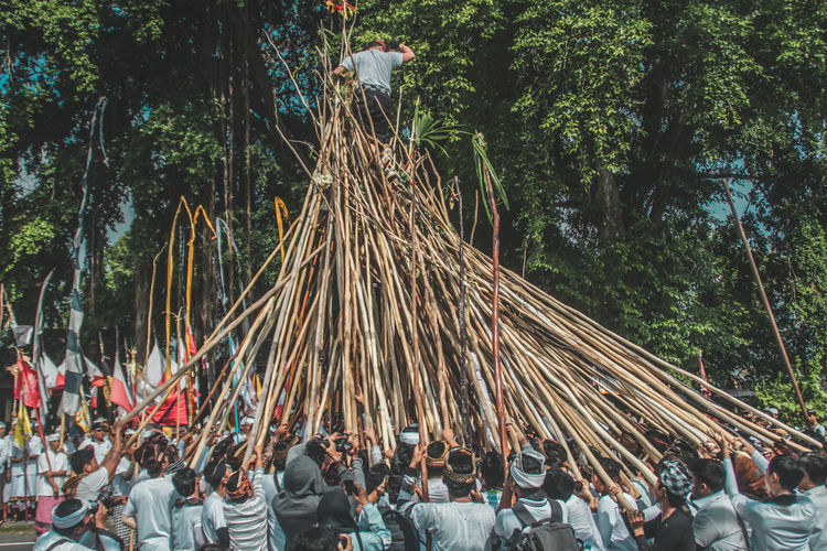 Men holding bamboos against trees during celebration