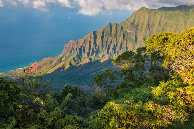 Scenic view from kalalau lookout to na pali coast at kokee state park, kauai, hawaii, usa 