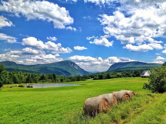 Hay bales on grassy field against sky