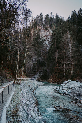 Scenic view of river flowing in forest during winter