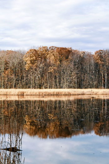 Reflection of trees in lake against sky