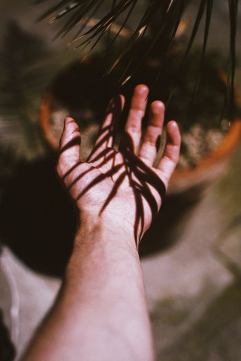 Close-up of man touching plants