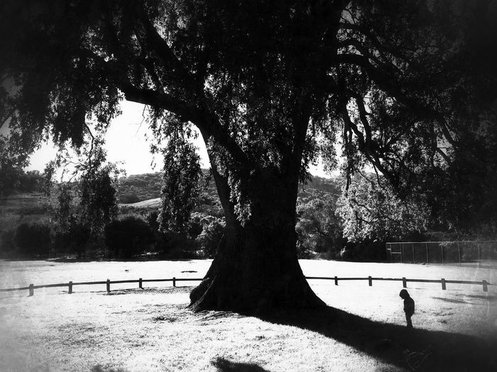 Silhouette man standing by tree against sky