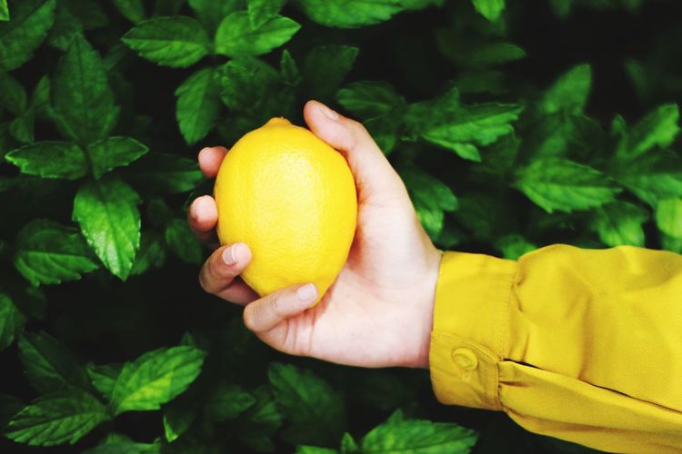 Cropped image of hand holding yellow fruit