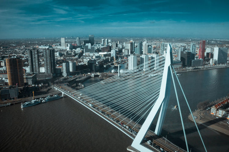 Rotterdam skyline and erasmus bridge