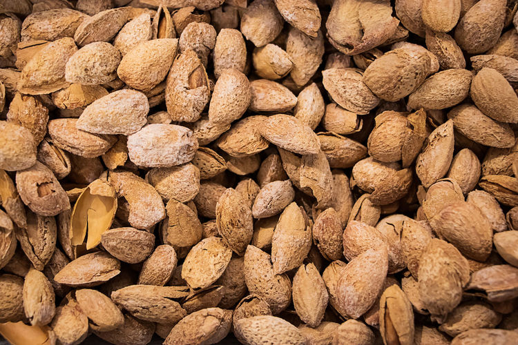 Inshell almonds close-up. a source of protein for healthy eating
