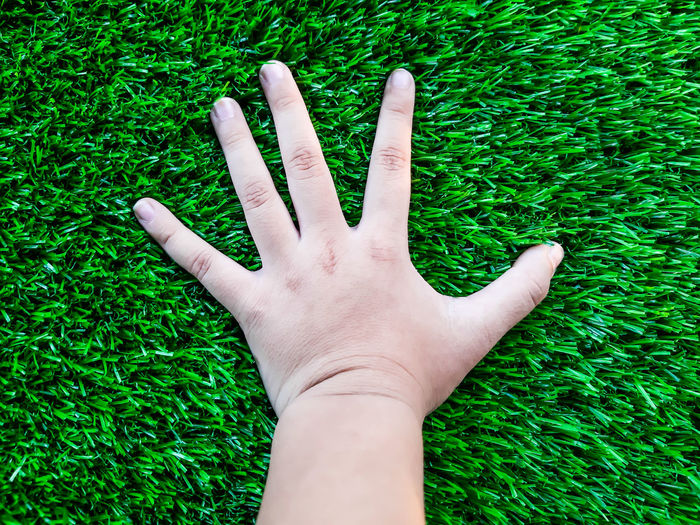 Cropped image of person hand on grass