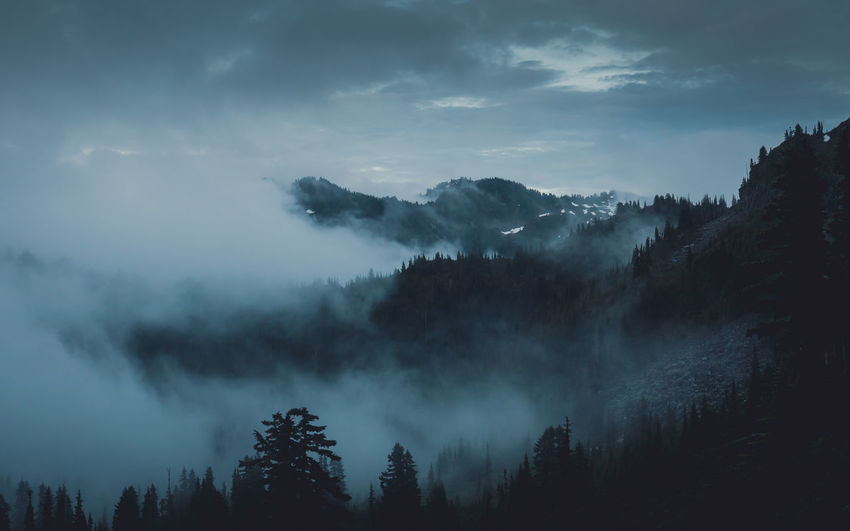 Panoramic shot of silhouette trees against sky during foggy weather