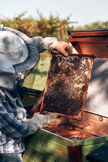 Bee keeper working while standing in park