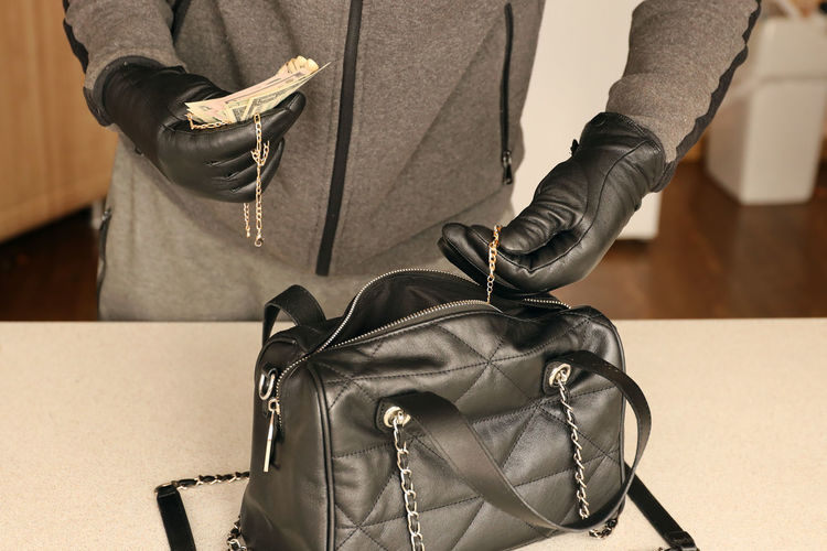 Theft Thief Bag