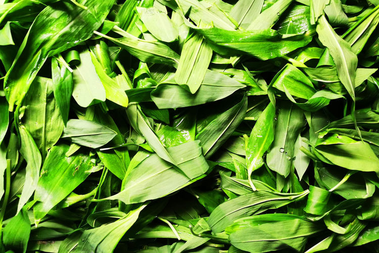 High angle view of chopped leaves