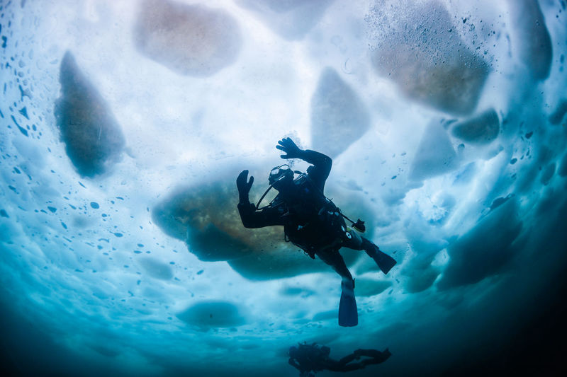 Low angle view of people scuba diving in sea during winter