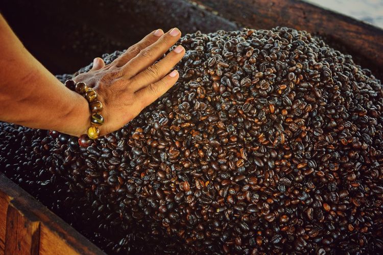 Cropped hand of woman touching coffee beans