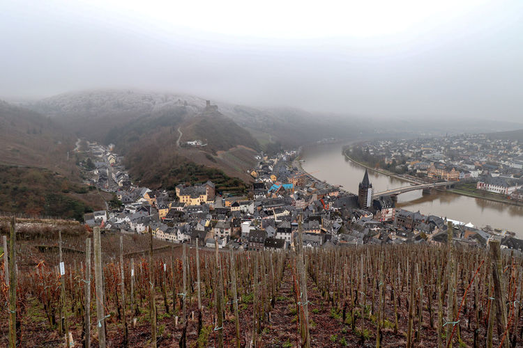 Scenic view of vineyards in mosel valley during the winter