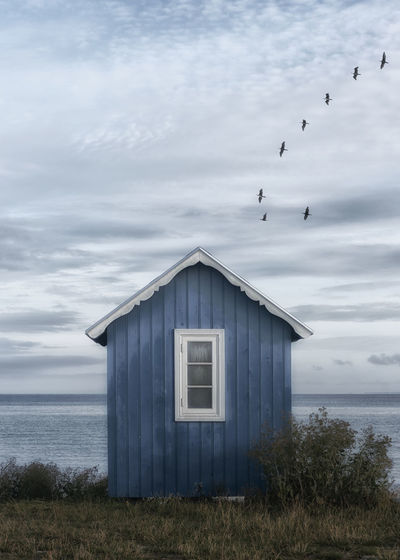 Seagull flying over sea against sky and beach hut