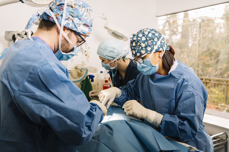 Veterinarians doing patient surgery in hospital
