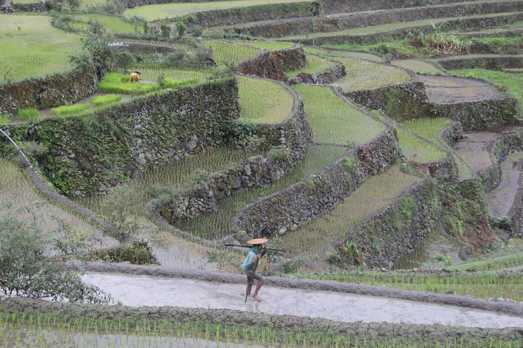 High angle view of woman working at farm