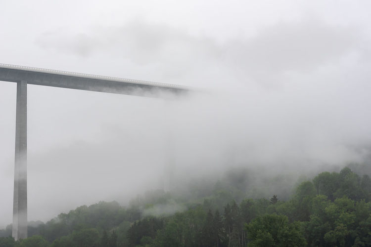 Low angle view of bridge over trees during foggy weather