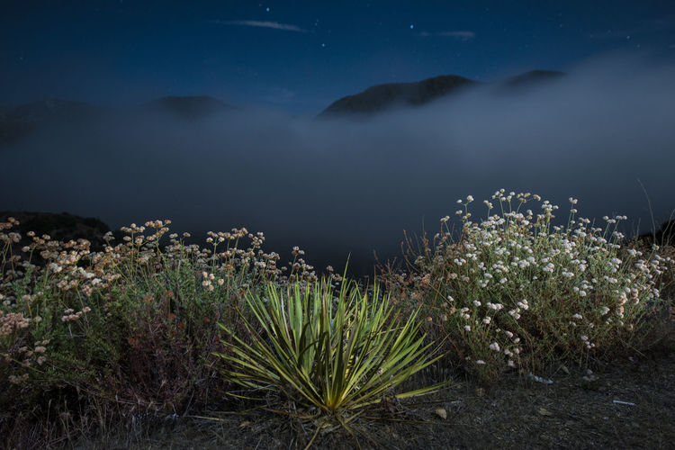 Fog envelops the santa monica mountains in malibu california