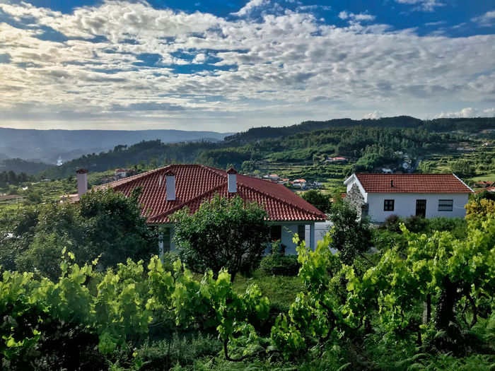 Houses by trees and buildings against sky