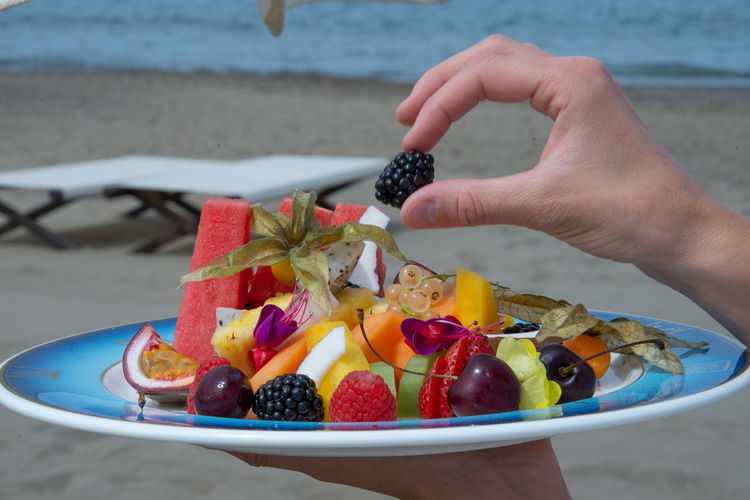Midsection of person holding fruits in plate