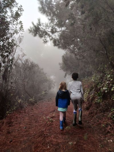 Friends hiking in a misty forest