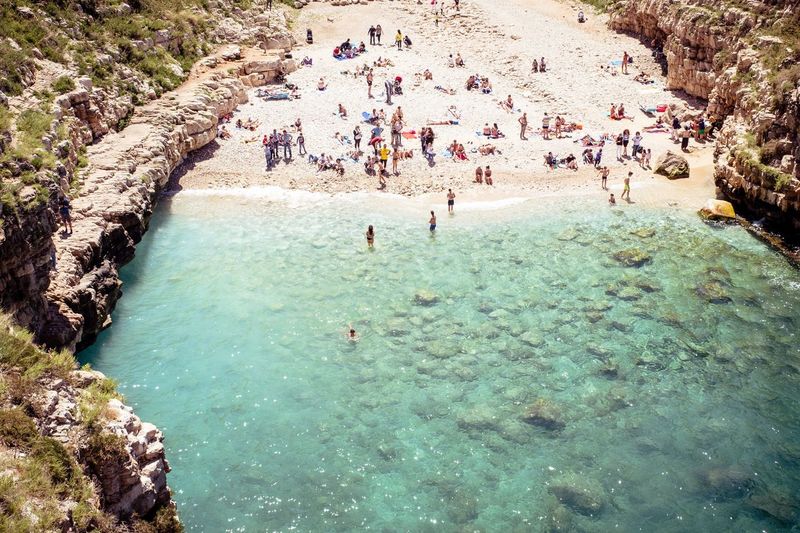 High angle view of people swimming in water