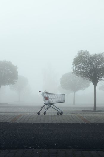 Abandoned shopping cart on parking lot in thick fog. 