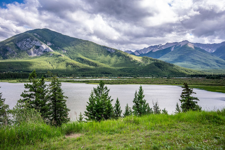 Summer scenic view with grass, trees, lake, train, mountains, cloudy blue sky background