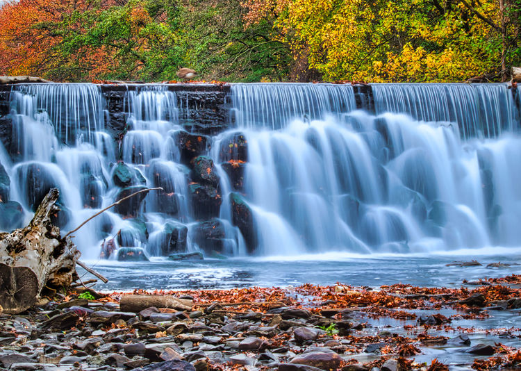 Scenic view of waterfall in the fall captured by the bronx zoo.