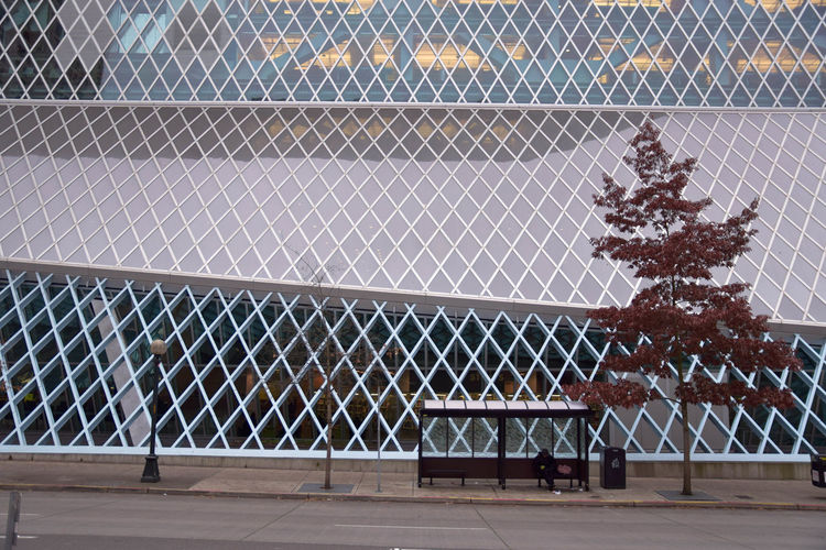 Chainlink fence