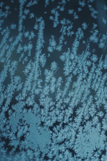 Full frame shot of snowflakes on window