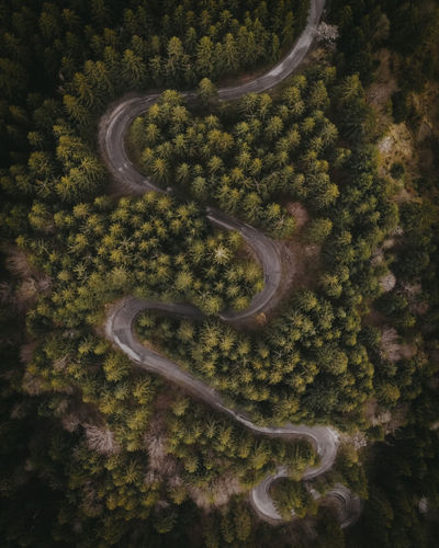 Aerial view of a long and winding road through a forest