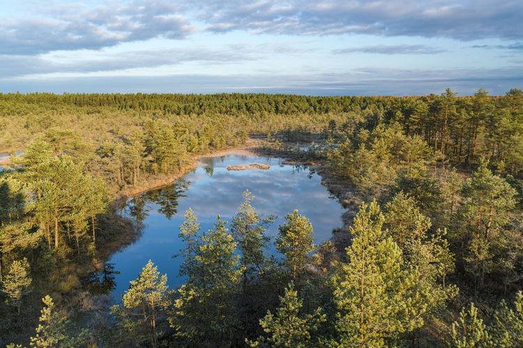 Lake at viru raba or bog swamp at lahemaa national park in autumn