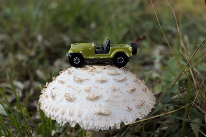 Close-up of small toy car on field