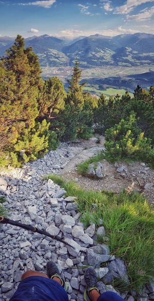 Scenic view of rocks by trees against sky