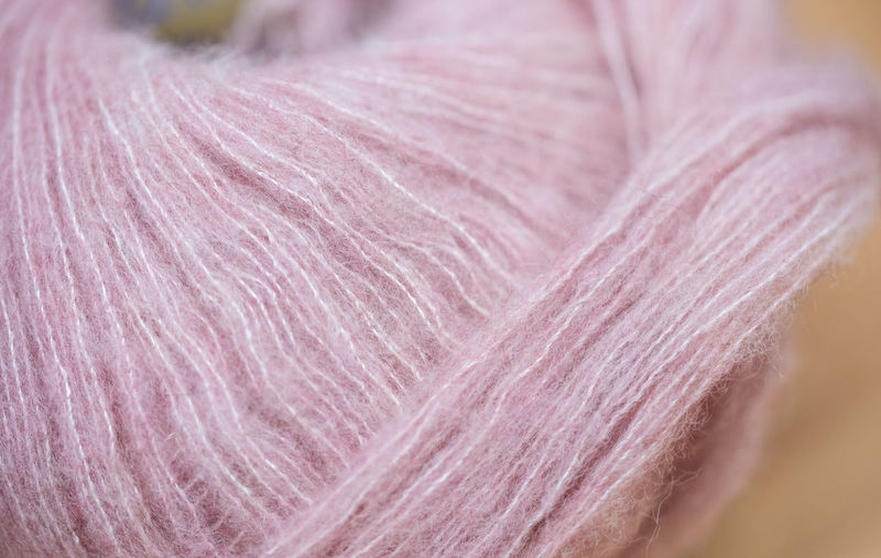 Close up of pink leaf