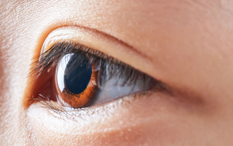 Close-up of girl eye