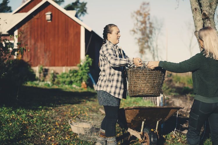 Mid adult female farmer handing basket full of straw to friend at organic farm