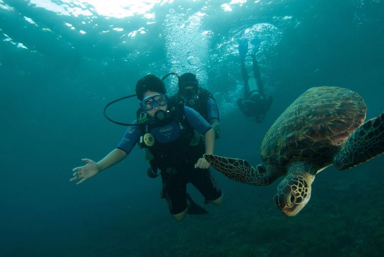 Low angle view of people scuba diving in sea