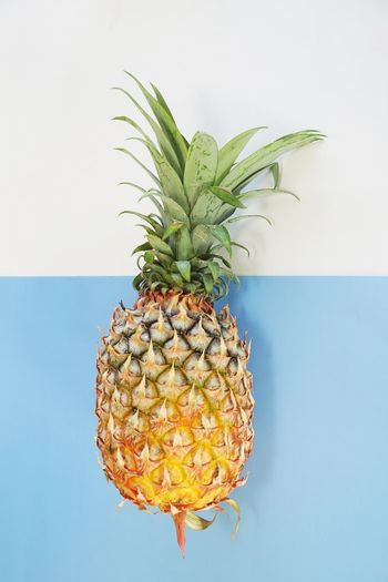 Pineapple on white and blue background