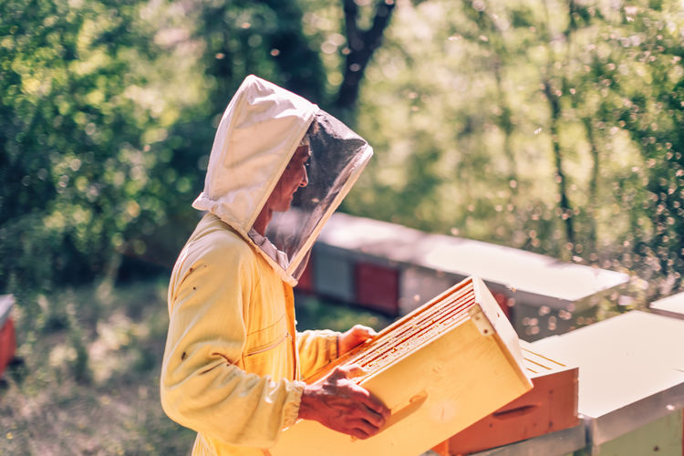 Beekeeping and honey production - beekeeper holding beehive around bees