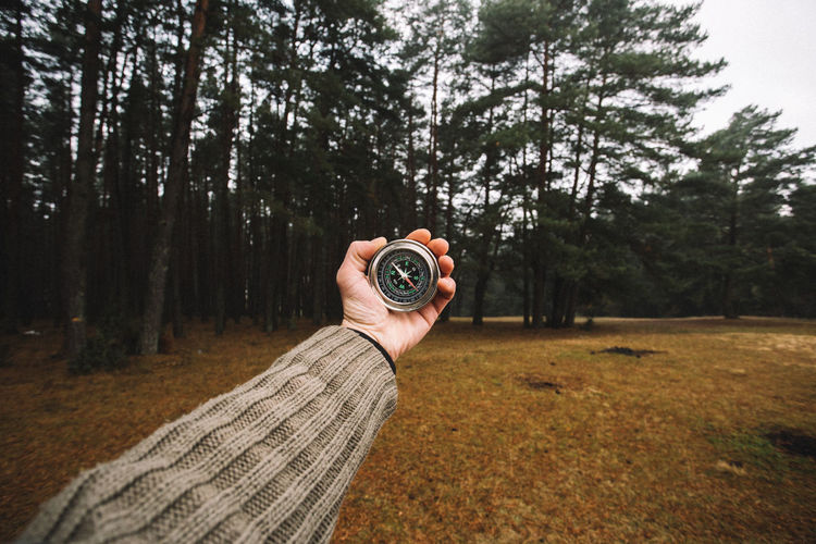 Close-up of hand holding navigational compass against bare trees in forest during foggy weather