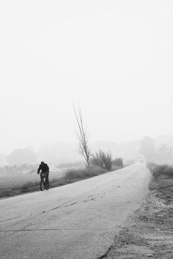 View of man bicycling on country road