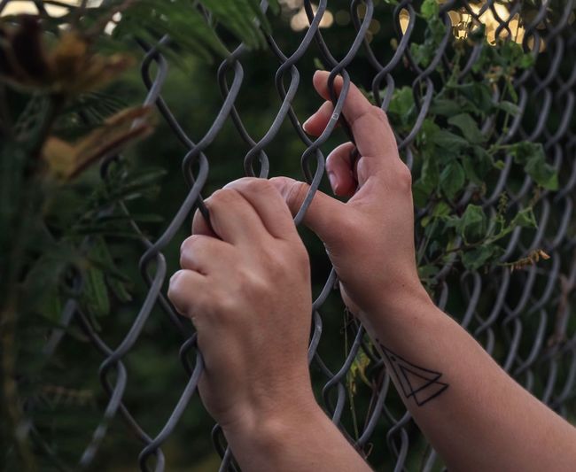 Close-up of woman holding chainlink fence