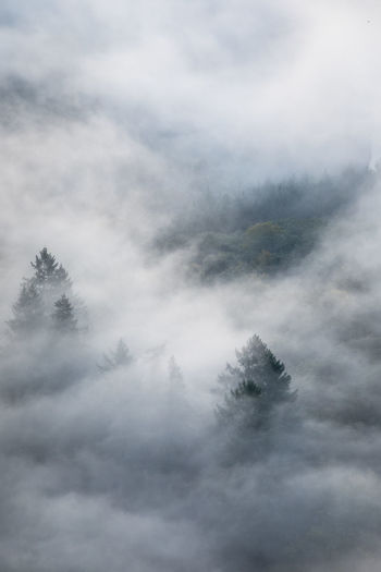 cloud