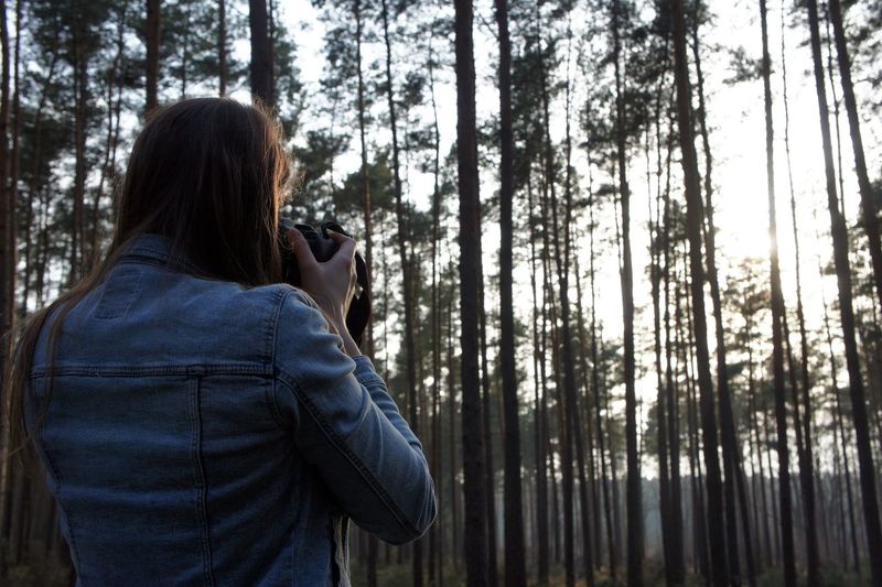 Woman photographing trees through camera in forest