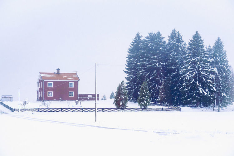 snow